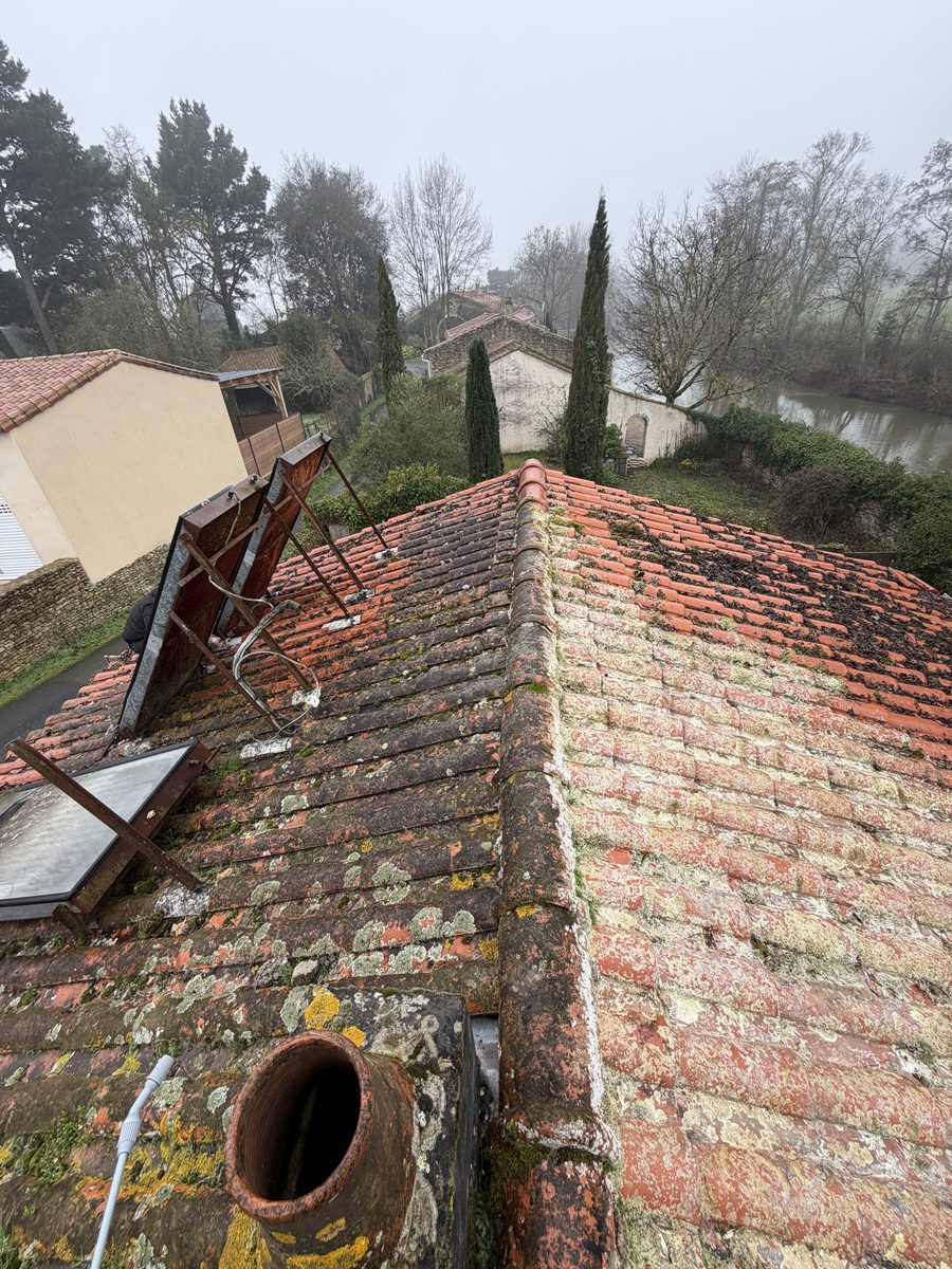 Toiture avant travaux – tuiles anciennes avec mousse